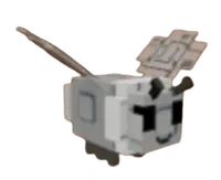 Moth