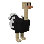 Ostrich