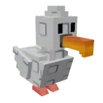 Seagull