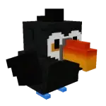 Toucan